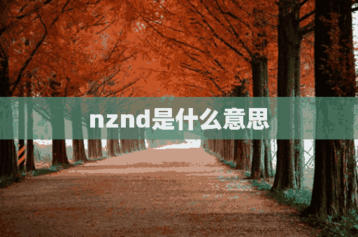 nznd是什么意思(nznd是什么意思的缩写)